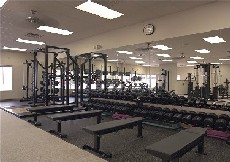 Sleek Physiques Dumbbell Area